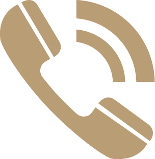 phone icon