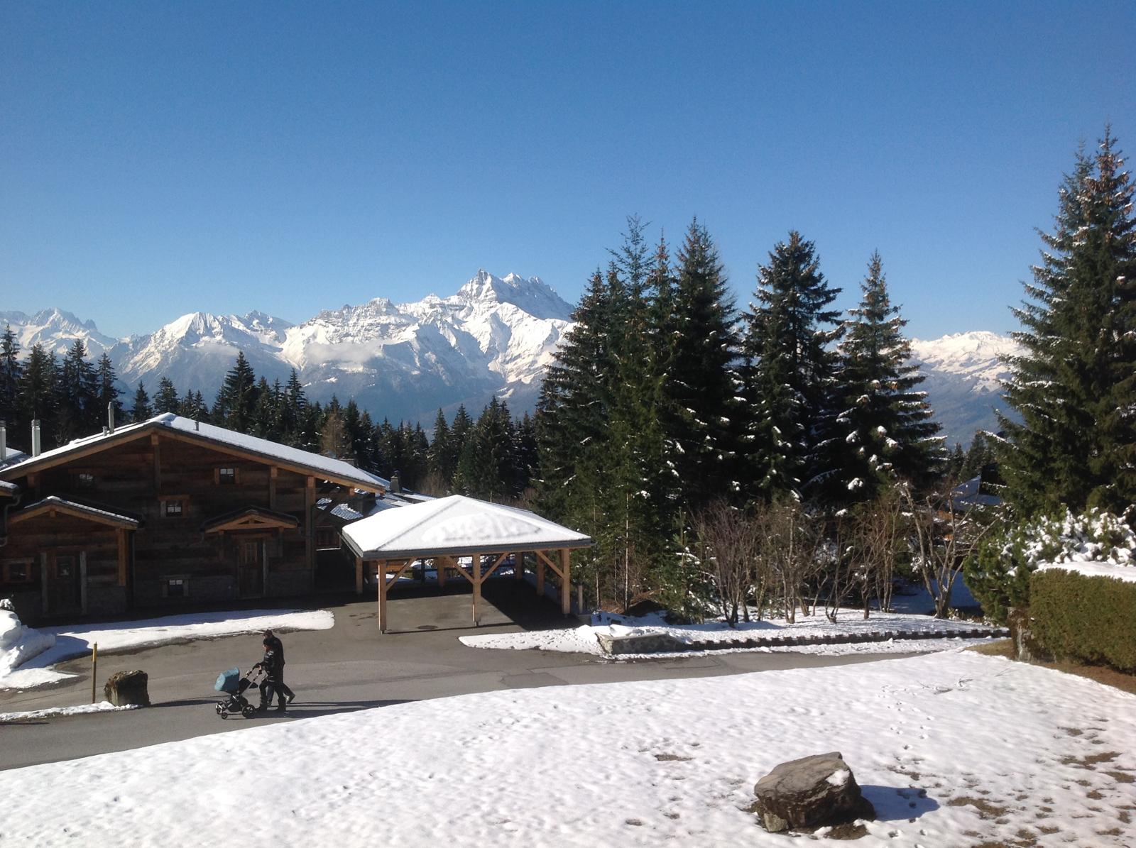 beautiful view from the terrace