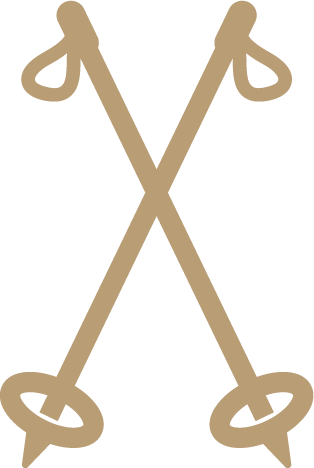 ski icon