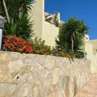 outside, stones and flowers
