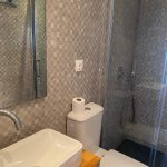grey modern shower-room with WC