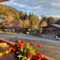 beautiful view from the terrace